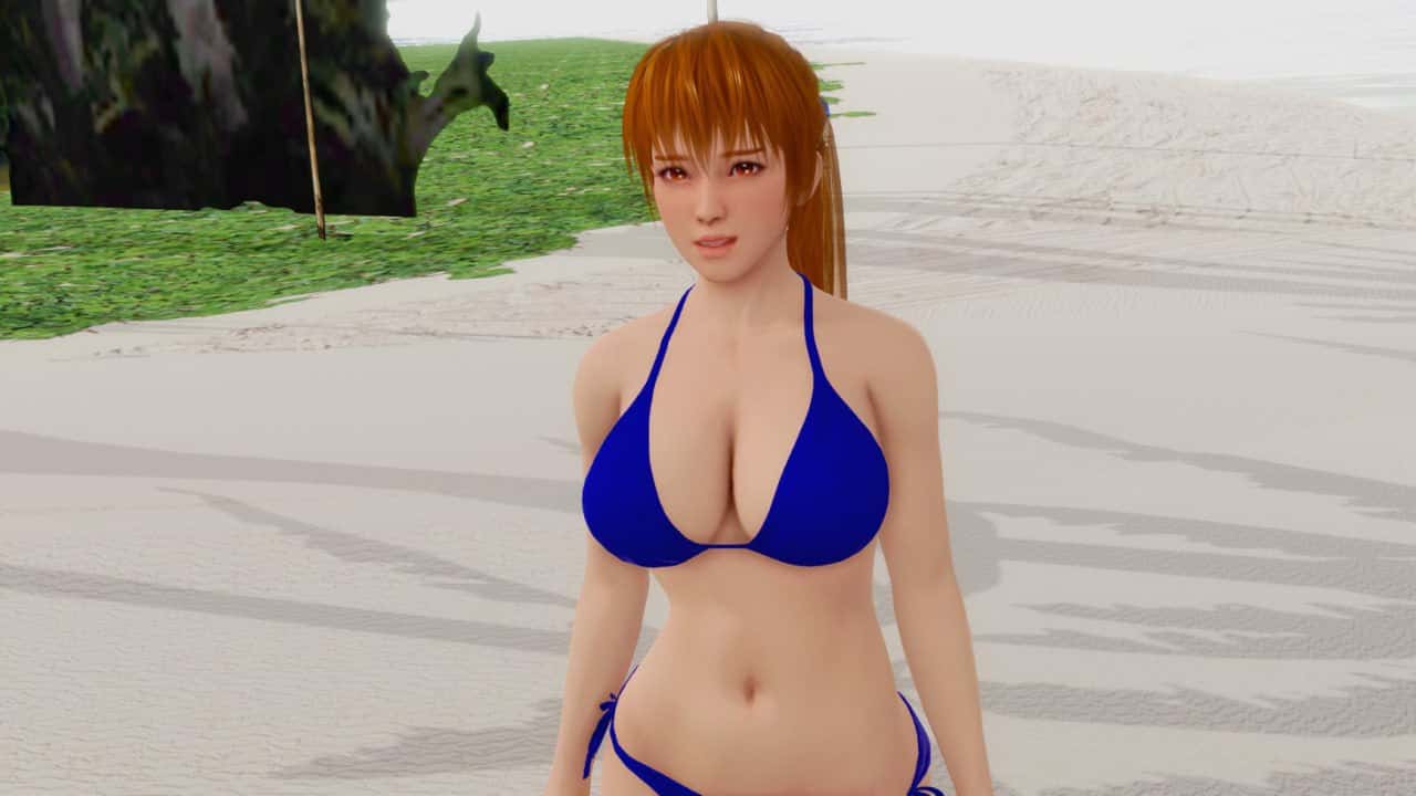 维纳斯岛上的生活 Life on the Venus Island 版游戏封面